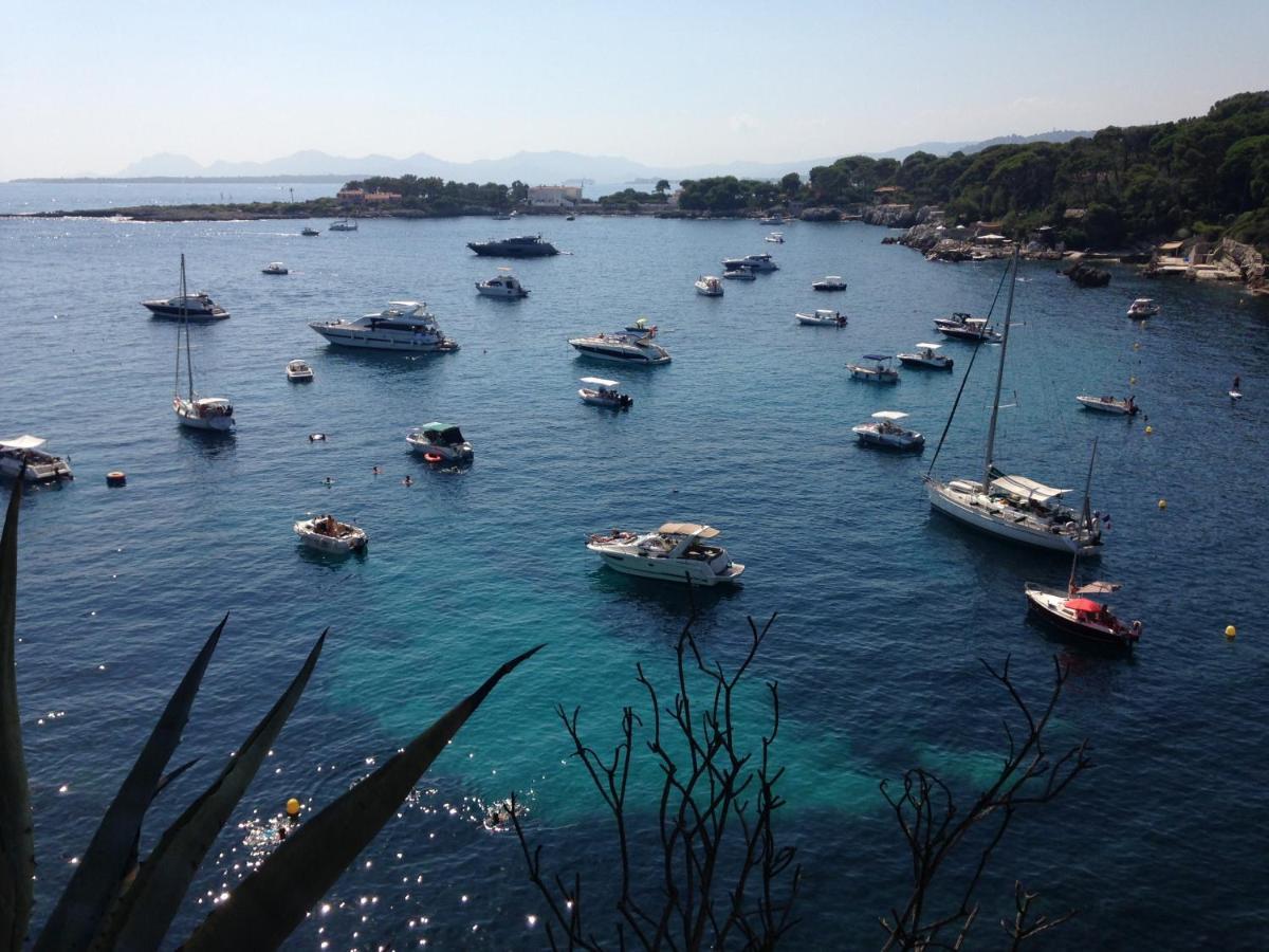 Coup De Coeur! Vue Mer! Terrasse Dangle! Antibes Eksteriør billede